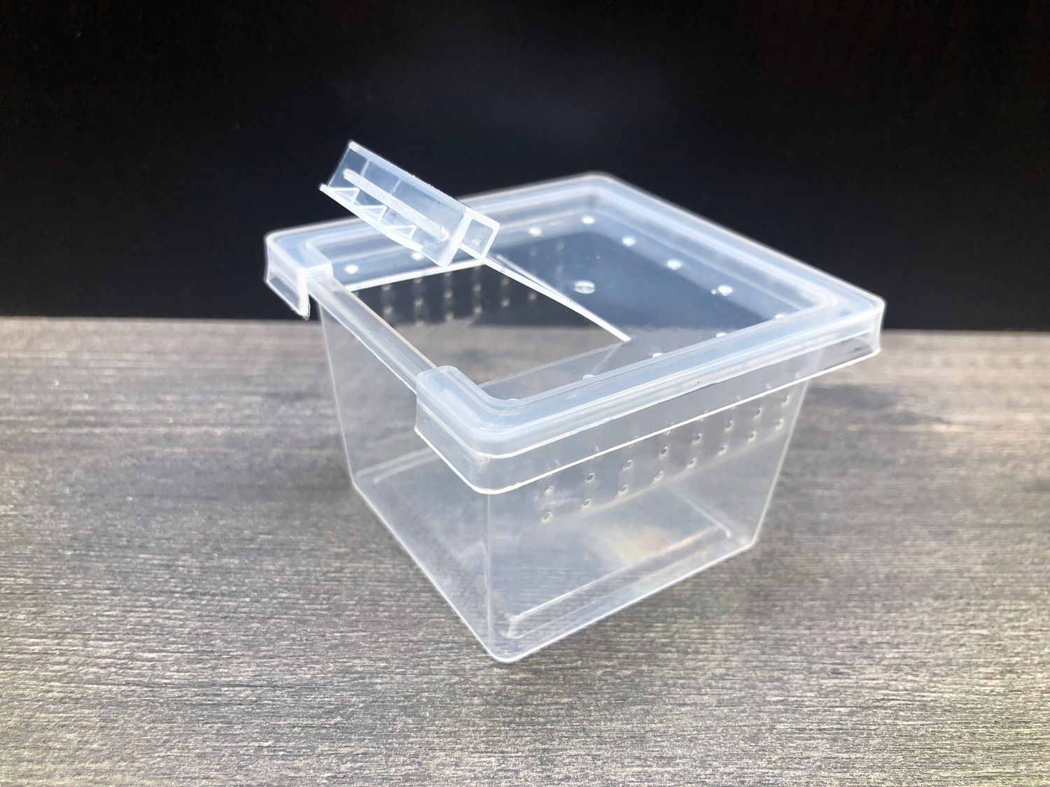 Aufzuchtdose gelocht eckig 130 ml 6,6x6,6x4,6cm mit Futterluke