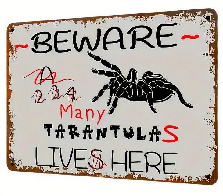 30 x 20cm Vorsicht, viele Taranteln Wandkunst Wand oder Türschild