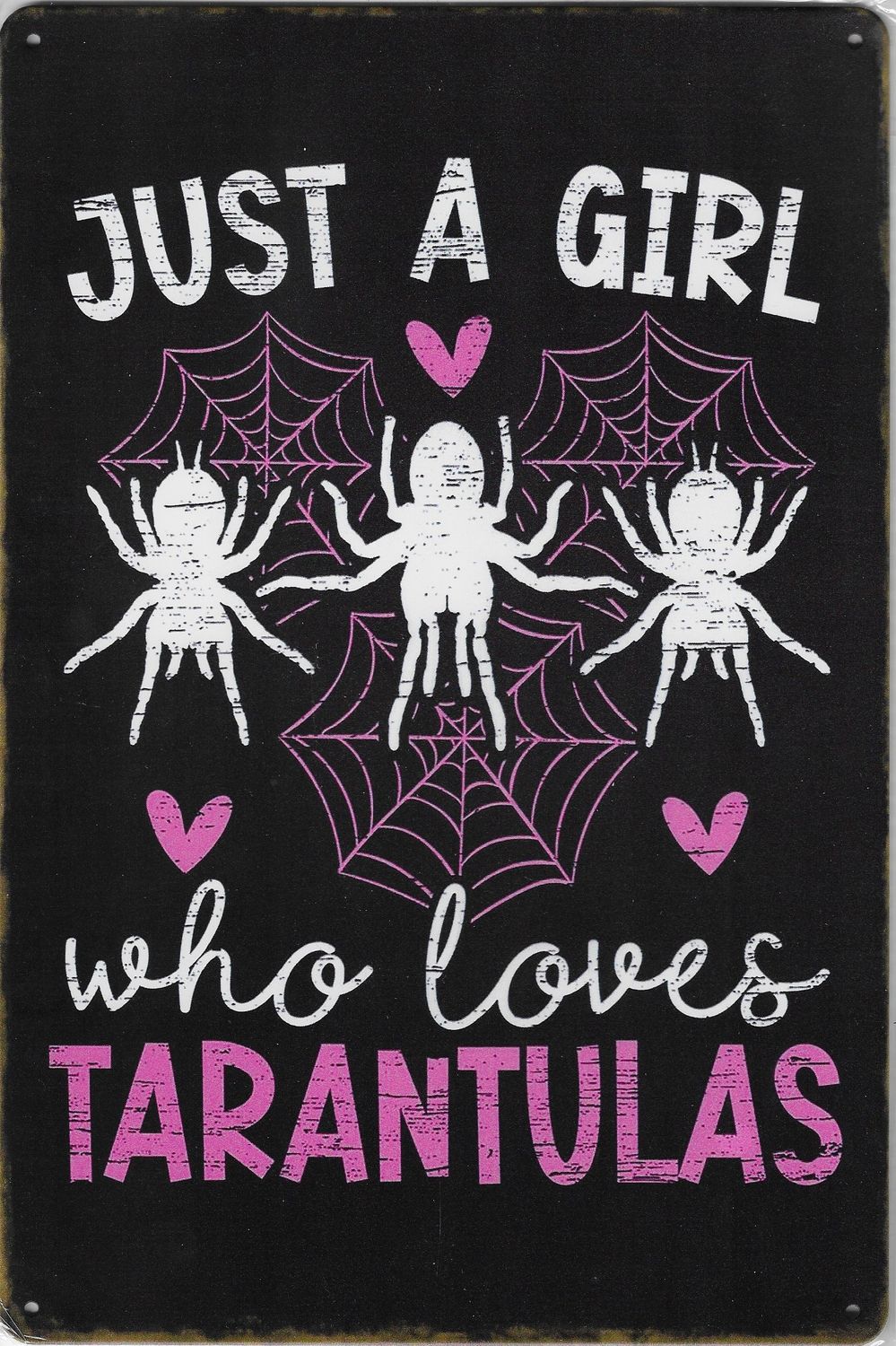 20 x 30cm Metallschild girl loves Tarantulas Wandkunst Wand oder Türschild