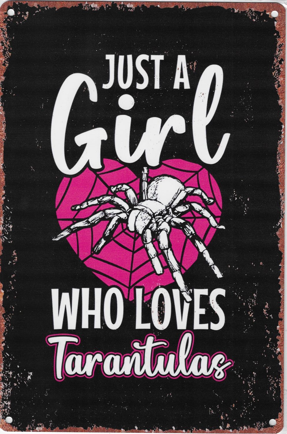 20 x 30cm Metallschild girl loves Tarantulas Wandkunst Wand oder Türschild