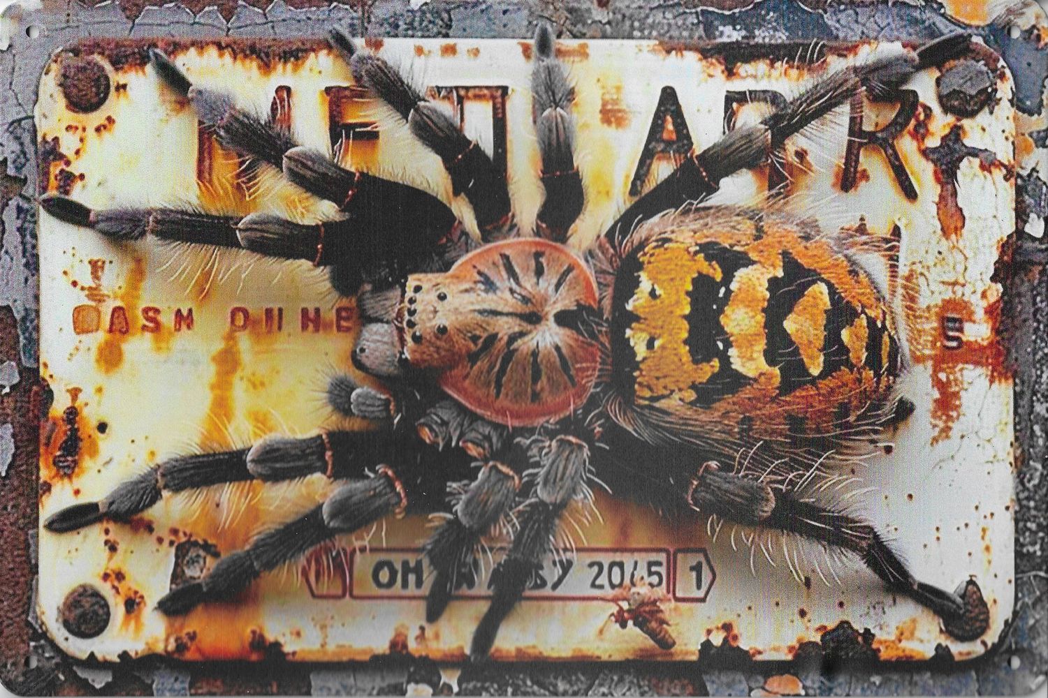 30 x 20cm Metallschild Tarantel Wandkunst Wand oder Türschild