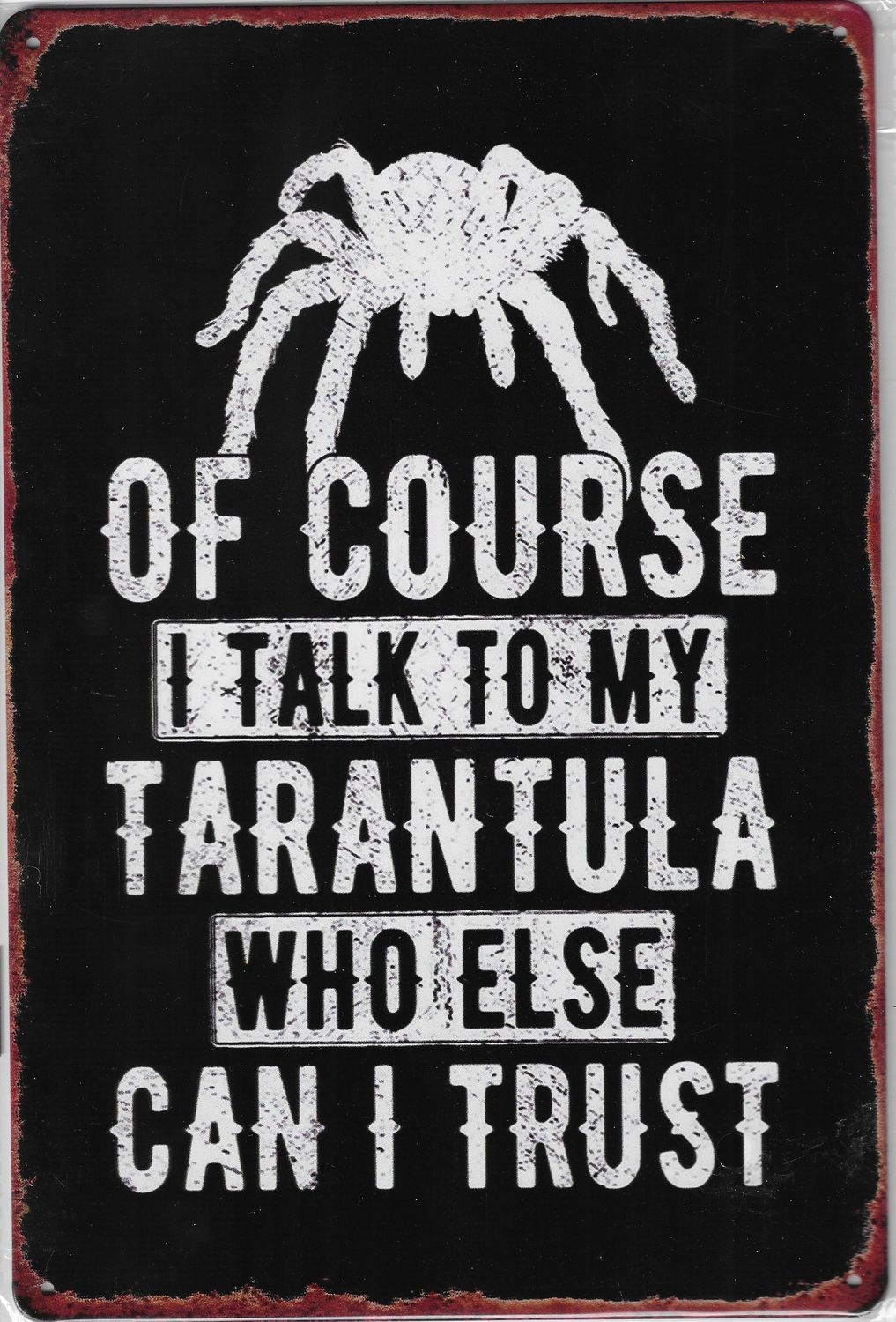20 x 30cm Metallschild talk to my Tarantula Wand oder Türschild
