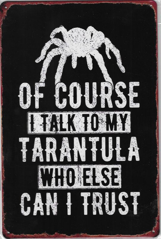 20 x 30cm Metallschild talk to my Tarantula Wand oder Türschild