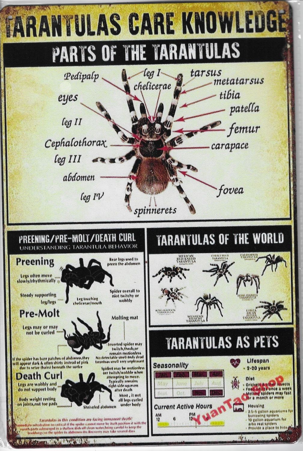 20 x 30cm Metallschild Tarantula care Knowledge Wand oder Türschild