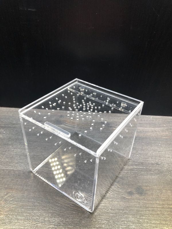 Acryl Terrarium BTH 10 x 10 x 10cm mit Magnetverschluß Spinne