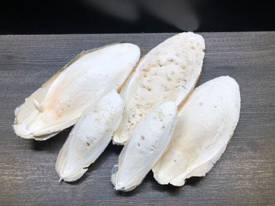 ca. 100g Natur Bio Sepiaschale (4 bis 5 Schalen)
