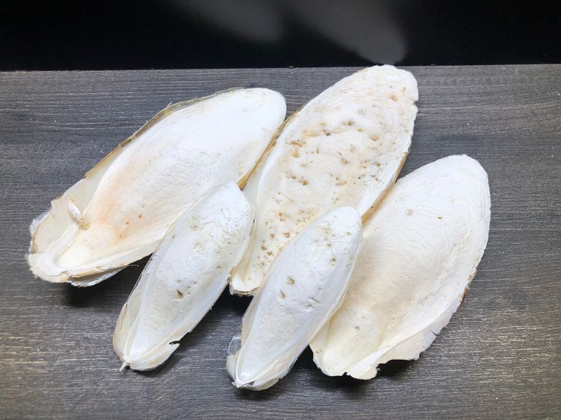 ca. 100g Natur Bio Sepiaschale (4 bis 5 Schalen)
