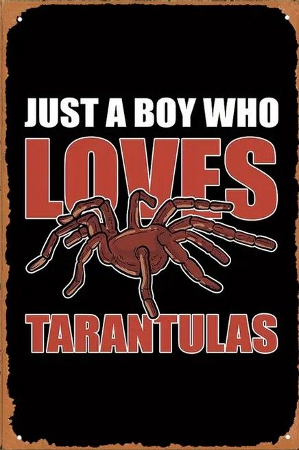 20 x 30cm Metallschild boy loves Tarantulas Wandkunst Wand oder Türschild