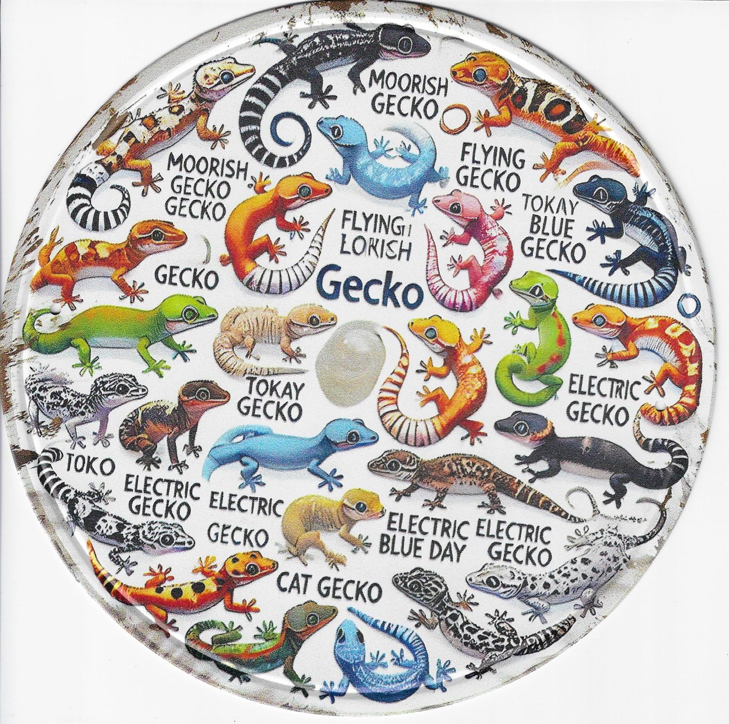 20cm ⌀ Metallschild viele Geckos bunt Wand oder Türschild