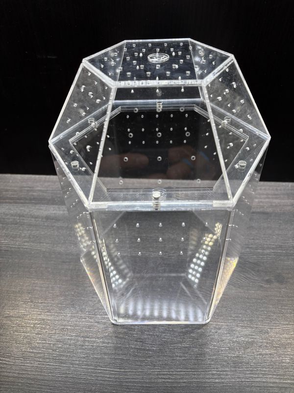 Acryl Terrarium BH 18 x 21cm mit Magnetverschluß sechseckiges Design