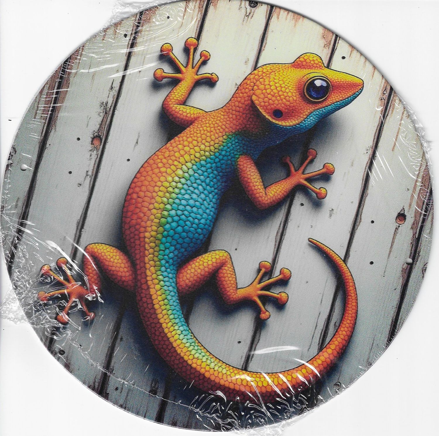 20cm ⌀ Metallschild Gecko bunt Wand oder Türschild