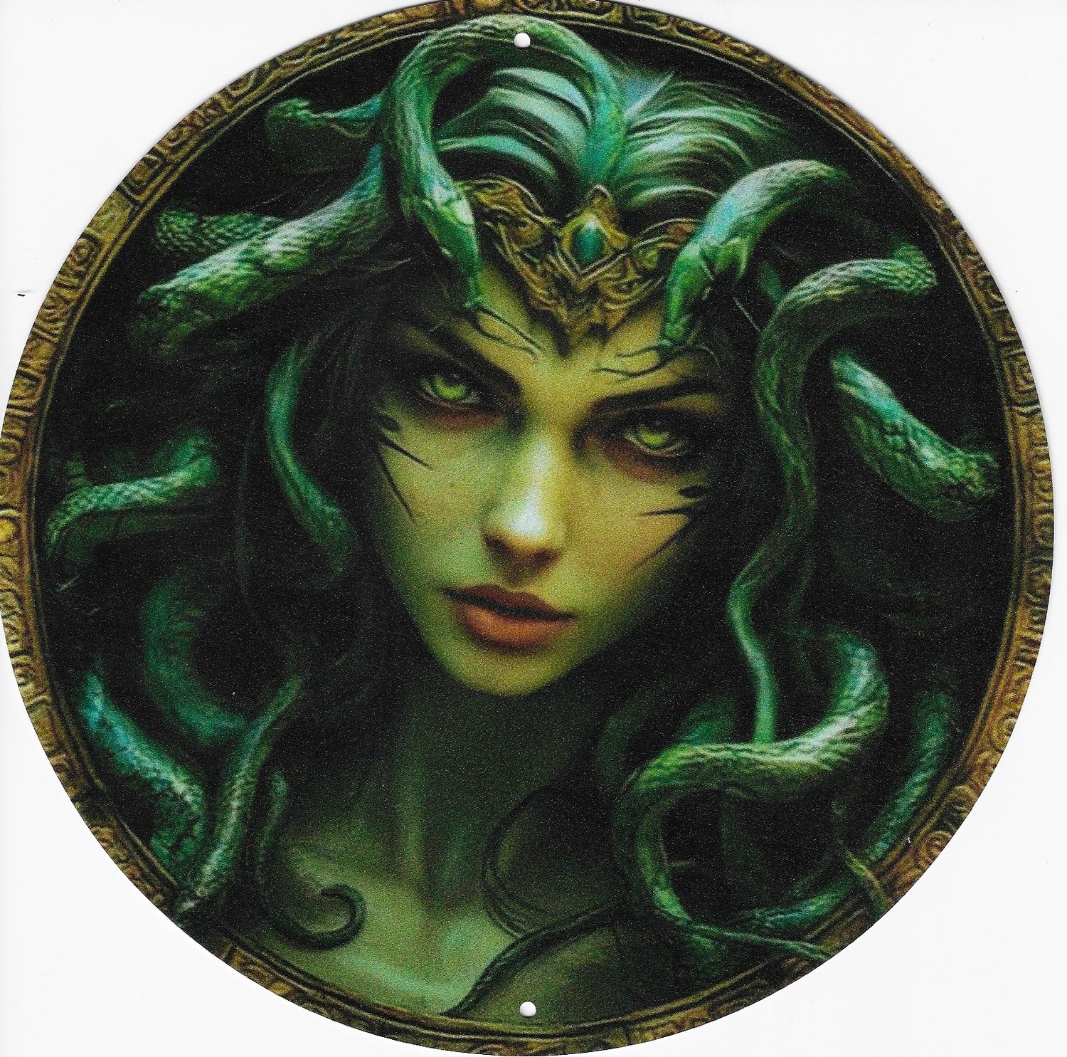 20cm ⌀ Metallschild Vintage Medusa Snake Schlange Wand oder Türschild gelocht
