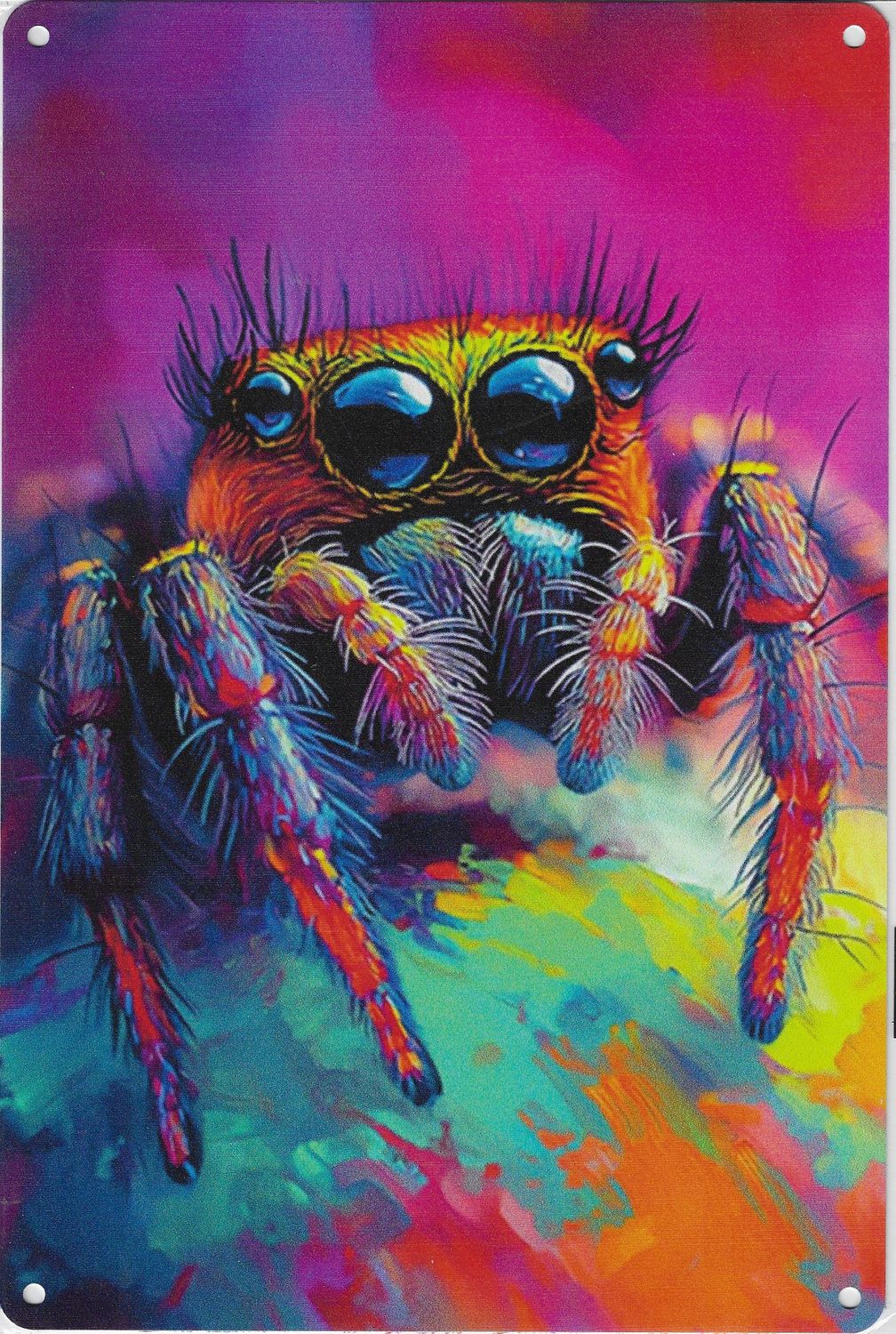 20 x 30cm Metallschild Springspinne bunt Wandkunst Wand oder Türschild