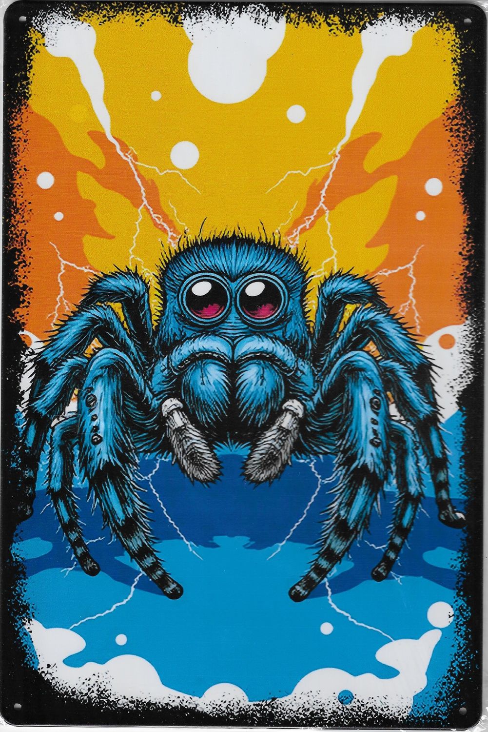 20 x 30cm Metallschild Springspinne bunt Wandkunst Wand oder Türschild