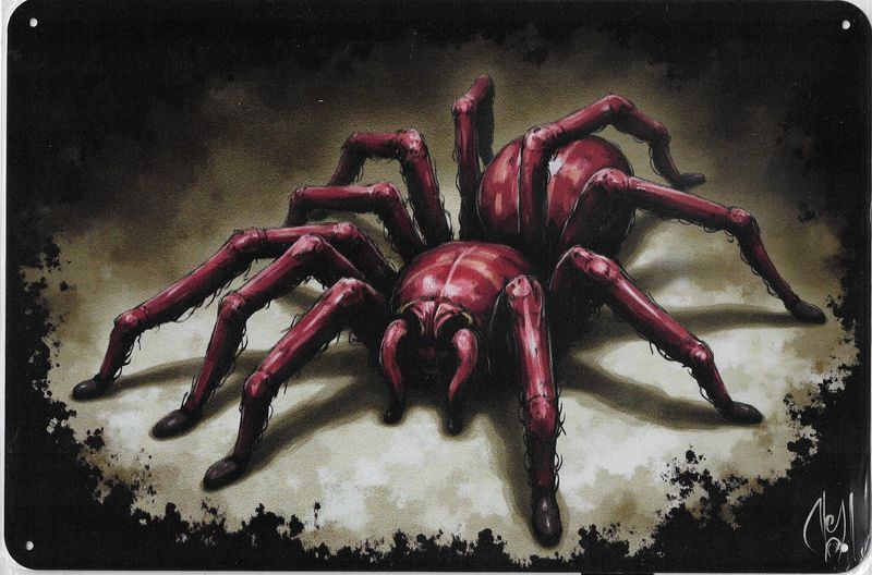 30 x 20cm Metallschild Vintage Vogelspinne Wandkunst Wand - Türschild gelocht