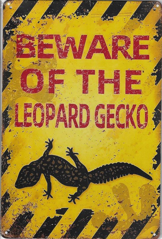 20 x 30cm Metallschild beware of the Leopard Gecko Hobby Wand Türschild gelocht