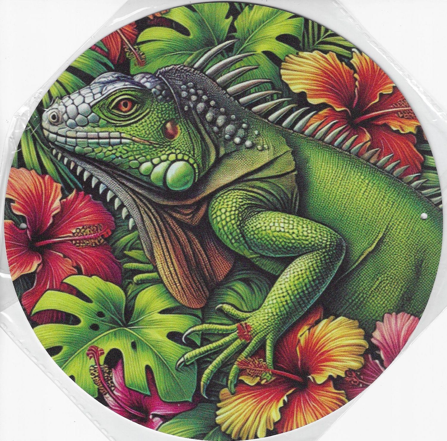 20cm ⌀ Metallschild Vintage Reptilien Zeichnung Wand oder Türschild gelocht