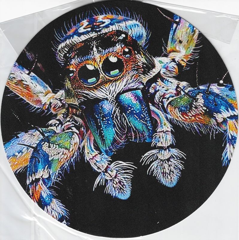 20cm ⌀ Metallschild Springspinne Jumping spider bunt Wand / Türschild gelocht