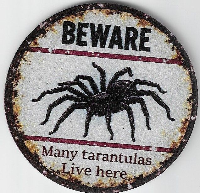 8cm ⌀ Acryl-Magnetplakette Beware Tarantula Küchenmagnet