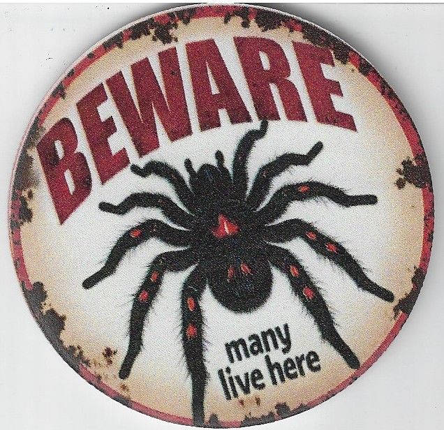 8cm ⌀ Acryl-Magnetplakette Beware Tarantula Küchenmagnet