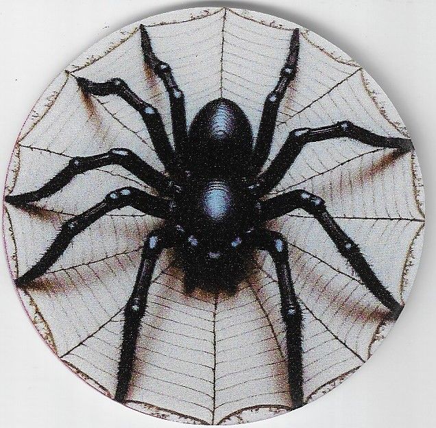 8cm ⌀ Acryl-Magnetplakette Vogelspinne Küchenmagnet