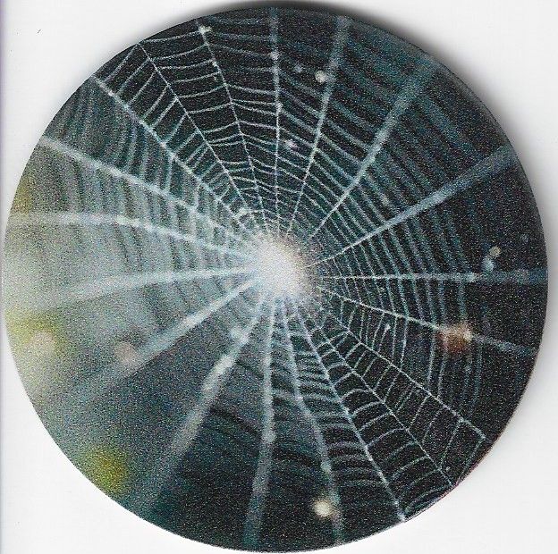 8cm ⌀ Acryl-Magnetplakette Spinnennetz Küchenmagnet