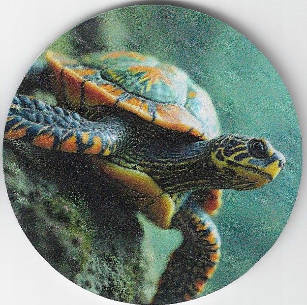 8cm ⌀ Acryl-Magnetplakette Schildkröte Küchenmagnet