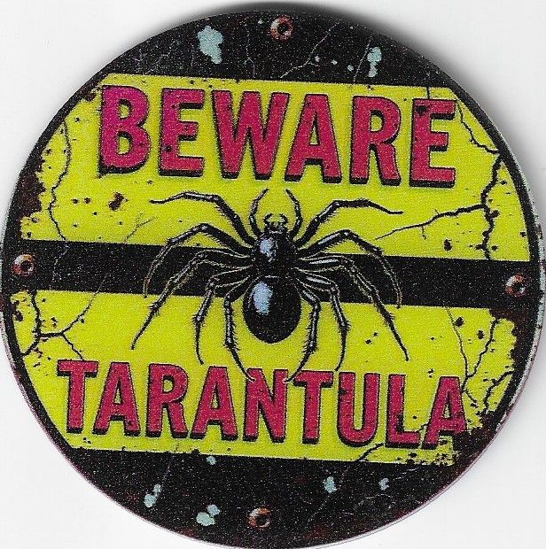 8cm ⌀ Acryl-Magnetplakette Beware Tarantula Küchenmagnet