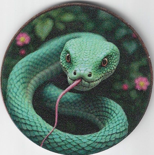 8cm ⌀ Acryl-Magnetplakette green Snake Küchenmagnet