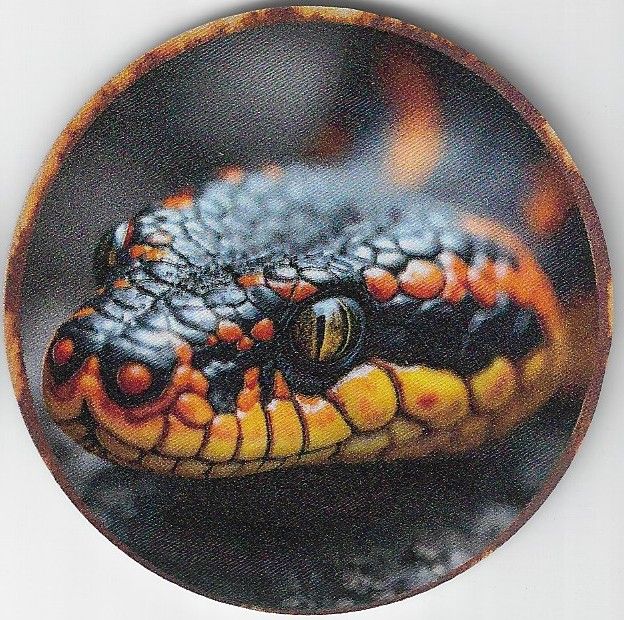 8cm ⌀ Acryl-Magnetplakette snake Schlange Küchenmagnet