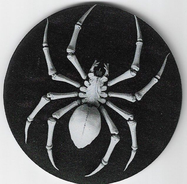 8cm ⌀ Acryl-Magnetplakette Spider skelett Küchenmagnet