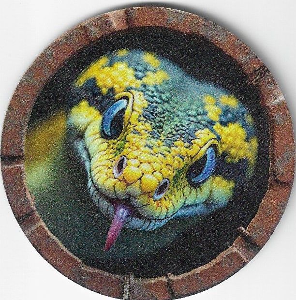 8cm ⌀ Acryl-Magnetplakette Schlange Küchenmagnet