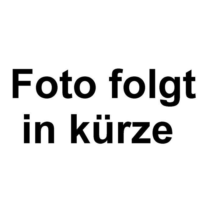 Amazonius germani (4cm KL) [ab dem 12.10.2025]