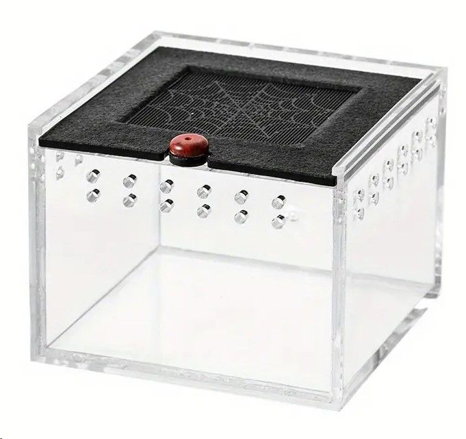 Acryl Terrarium BTH 8,5 x 9 x 6,5cm transparent