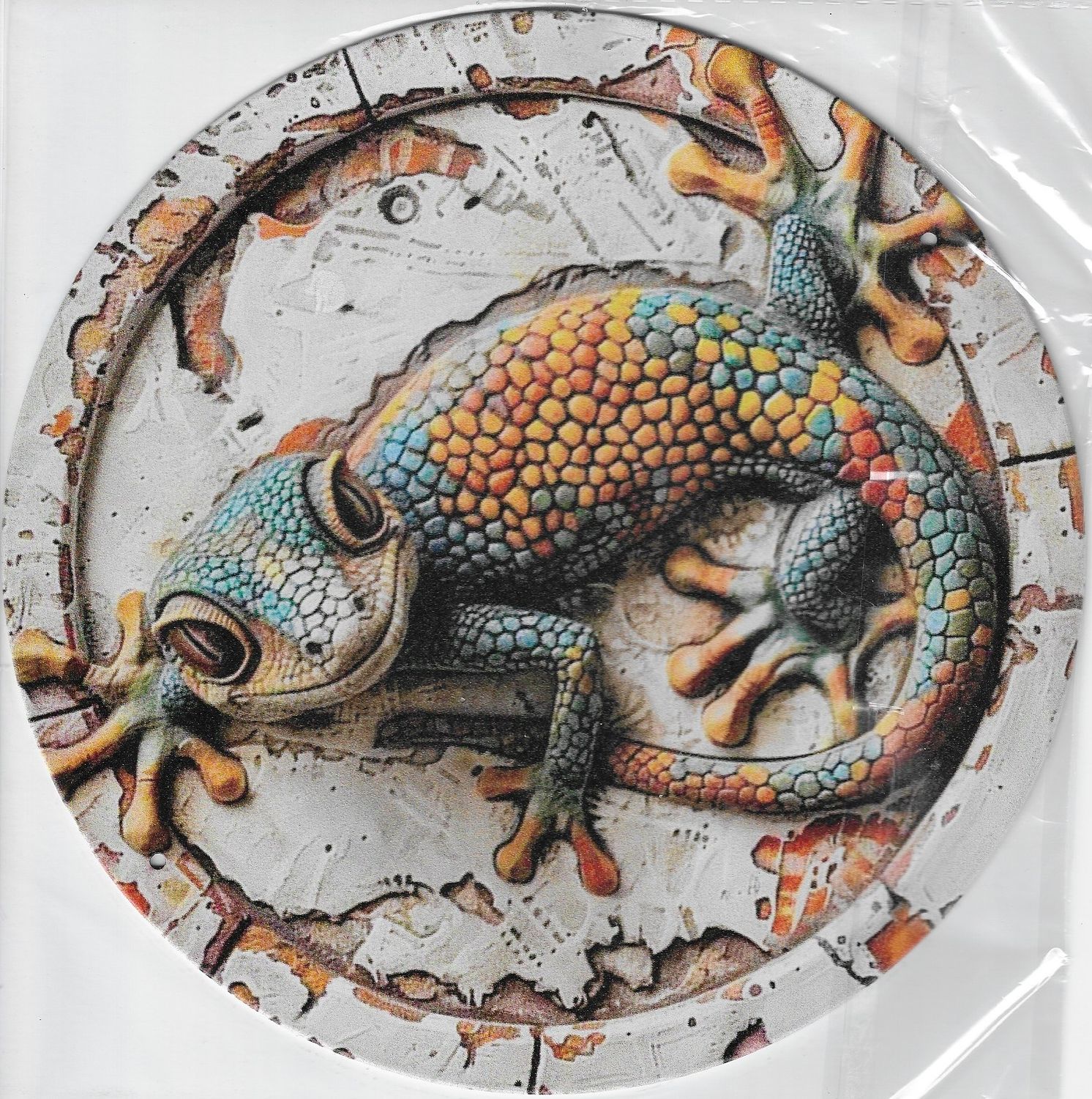 20cm ⌀ Metallschild Gecko Wand oder Türschild