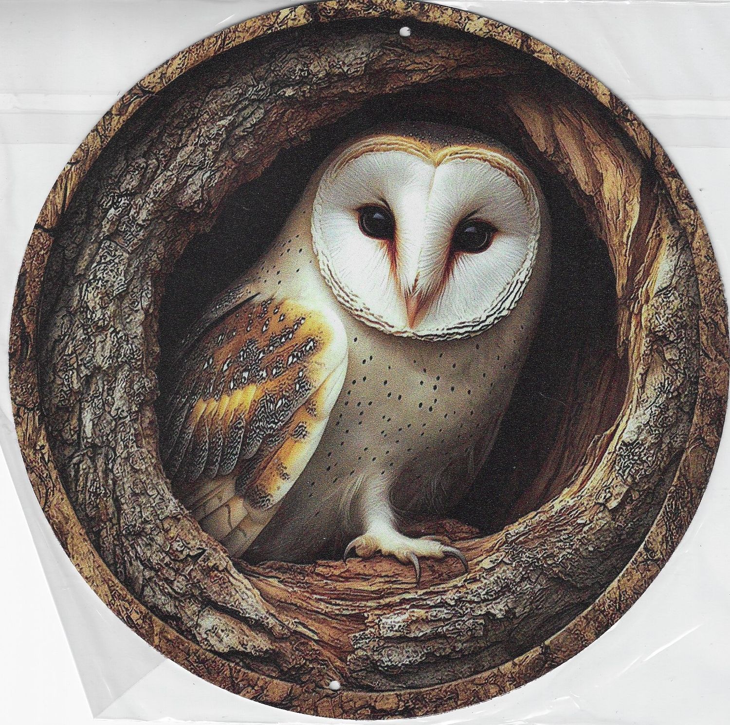 20cm ⌀ Metallschild Eule Wand oder Türschild