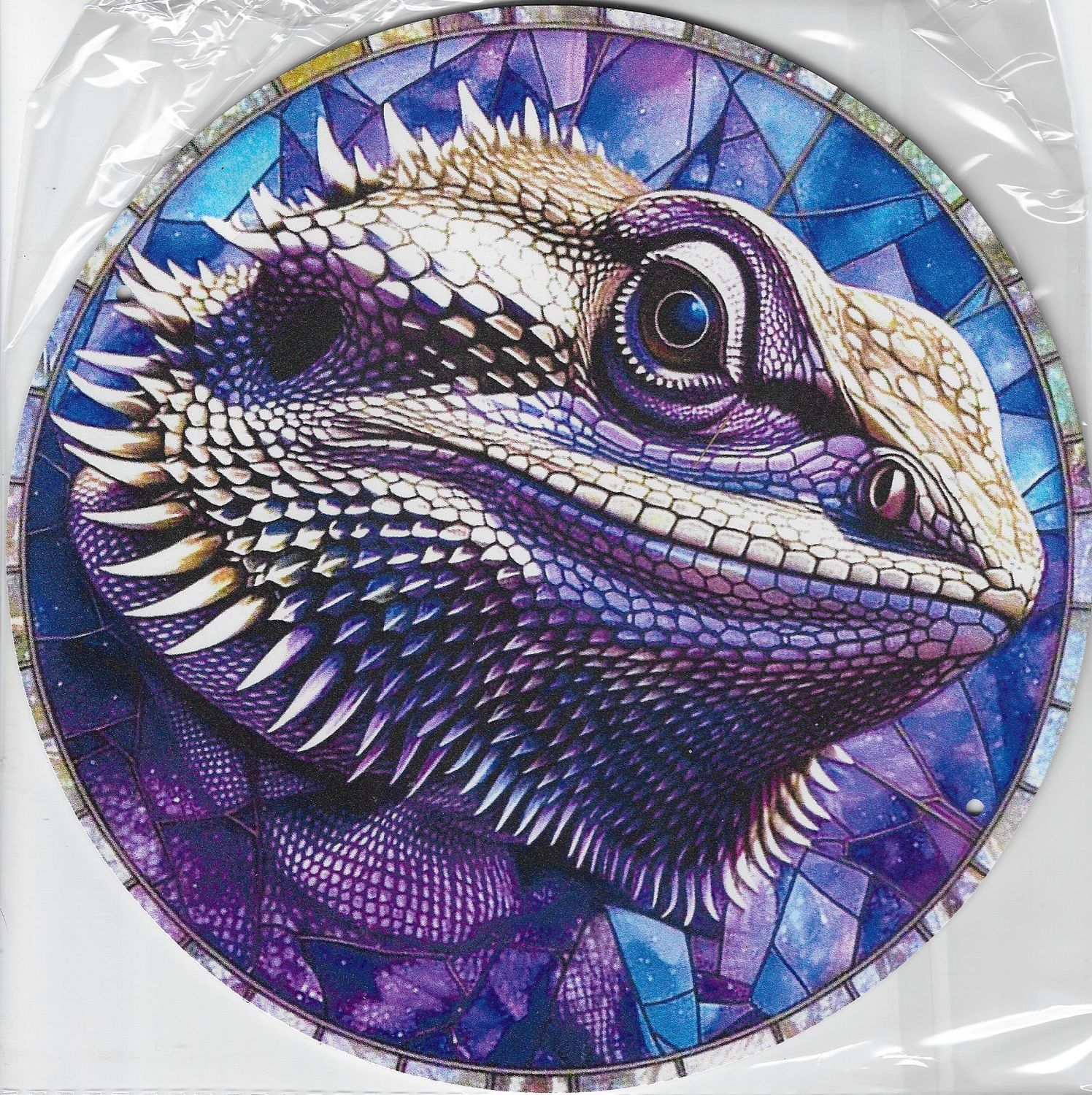 20cm ⌀ Metallschild Bartagame Wand oder Türschild