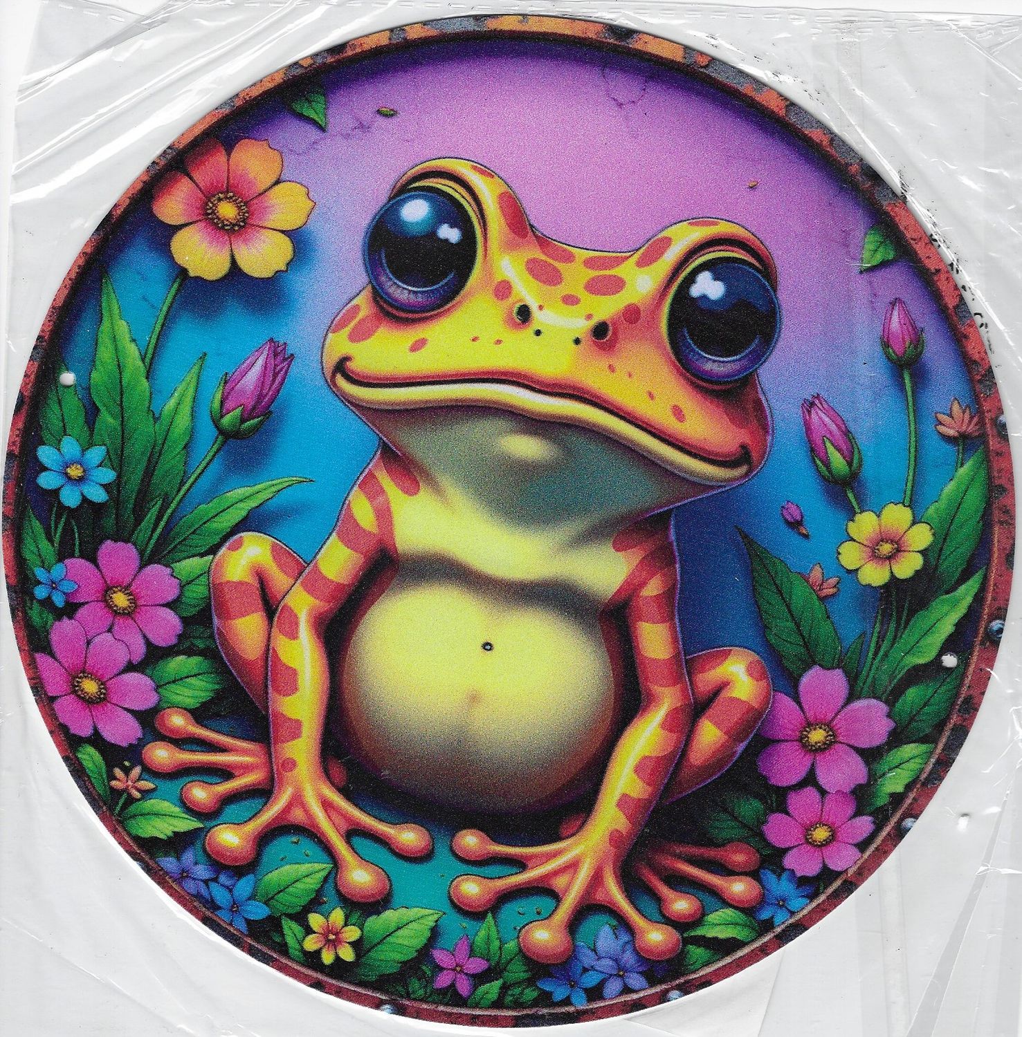 20cm ⌀ Metallschild Frosch bunt Wand oder Türschild