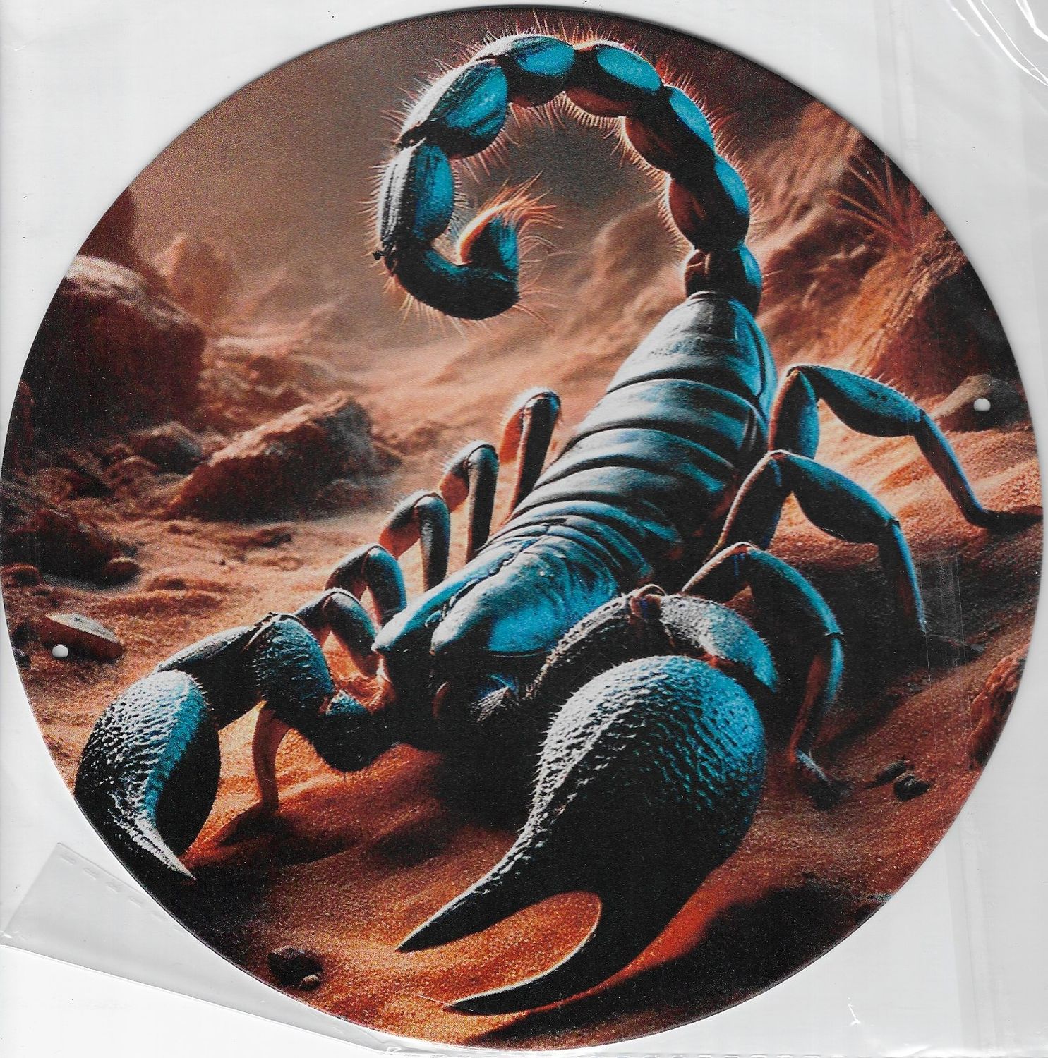 20cm ⌀ Metallschild Skorpion Wand oder Türschild