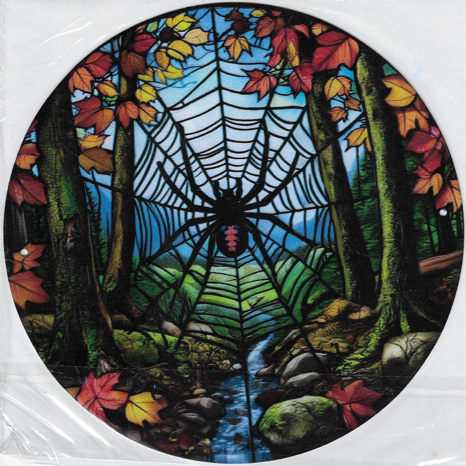 20cm ⌀ Metallschild Spinne auf Netz Wand oder Türschild