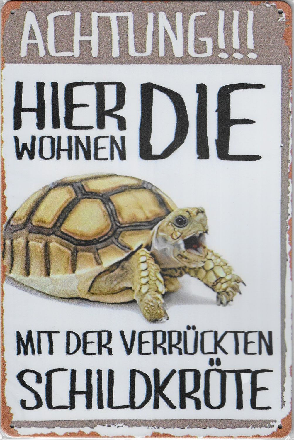 20 x 30cm Metallschild verrückte Schildkröte Wand oder Türschild