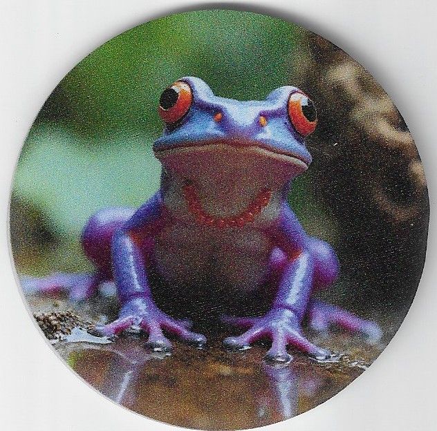 8cm ⌀ Acryl-Magnetplakette Frosch mit Kette Küchenmagnet