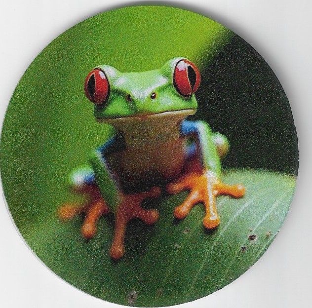 8cm ⌀ Acryl-Magnetplakette Frosch Küchenmagnet