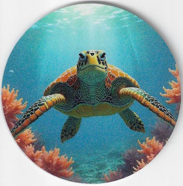 8cm ⌀ Acryl-Magnetplakette tauchende Schildkröte Küchenmagnet