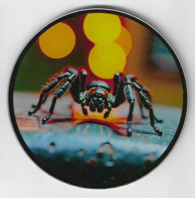 8cm ⌀ Acryl-Magnetplakette Spinne Küchenmagnet