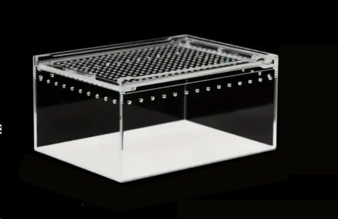 Acryl Terrarium BTH 20 x 15 x 10cm mit Magnetverschluß