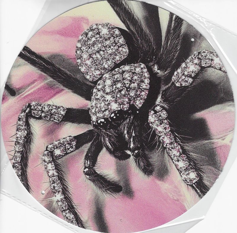 20cm ⌀ Metallschild Vintage Diamant Vogelspinne Wand oder Türschild