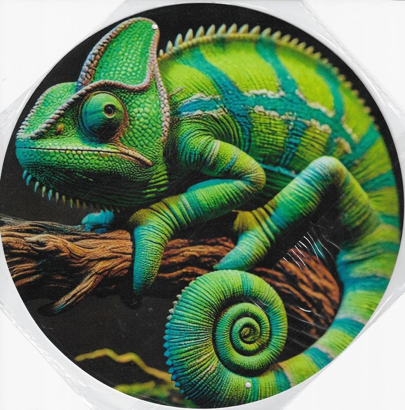 20cm ⌀ Metallschild Chamäleon bunt Wand oder Türschild