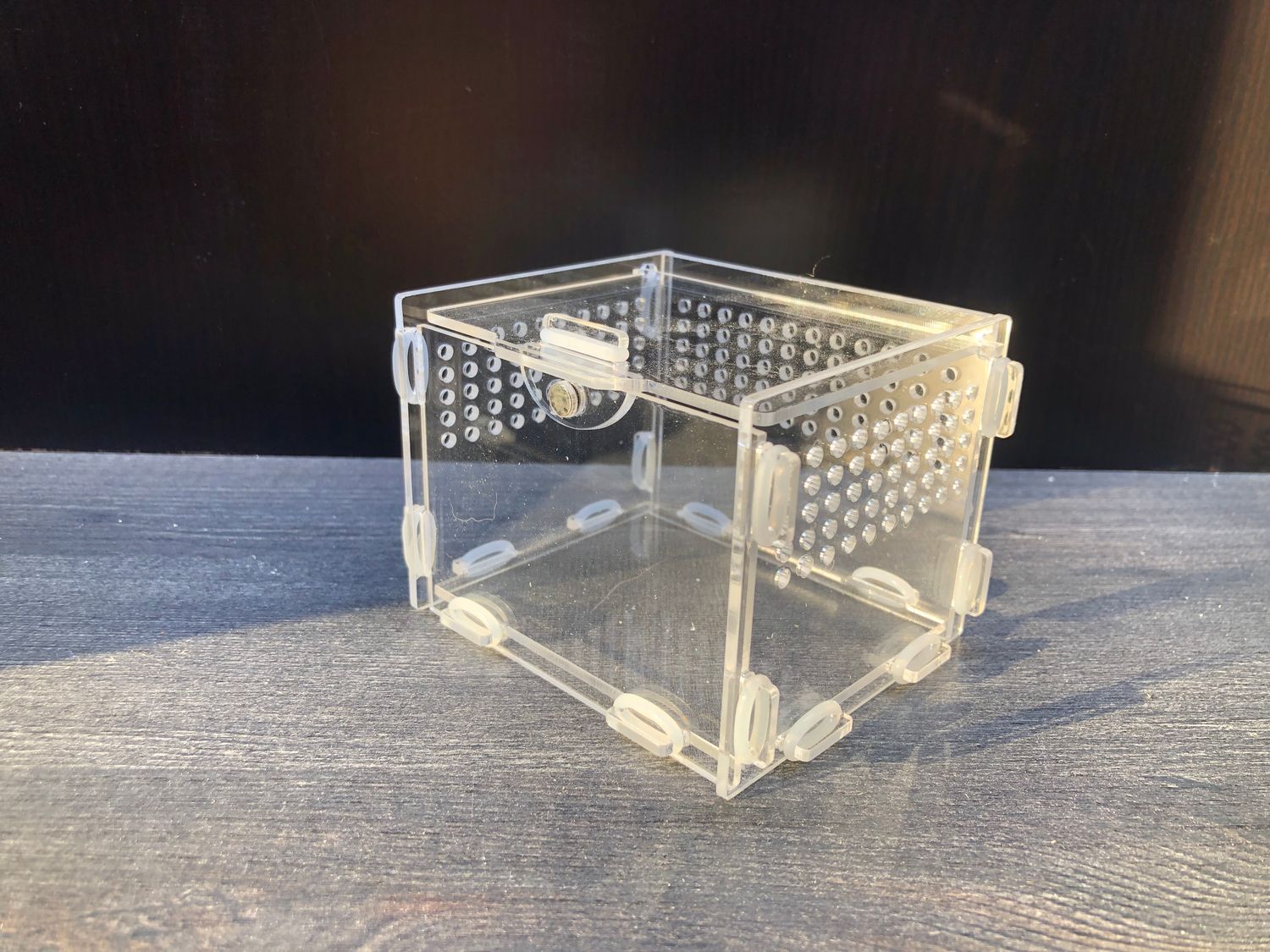 Acryl Terrarium BTH 10 x 8 x 7cm mit Magnetverschluß