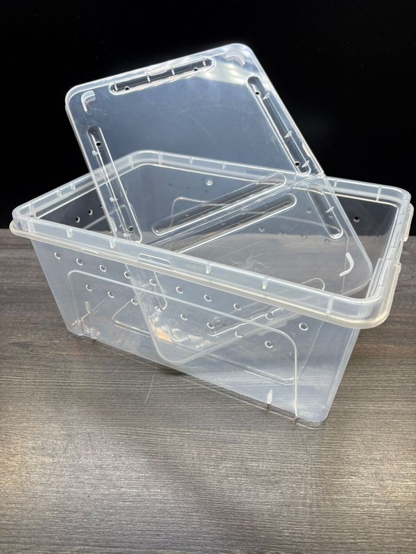 Aufzuchtdose eckig 10 L Kunststoff transparent 32 x 22 x 15 cm